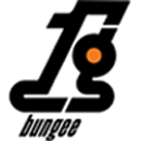 1gbungee